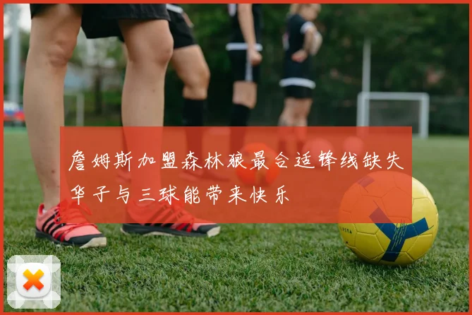 詹姆斯加盟森林狼最合适锋线缺失华子与三球能带来快乐
